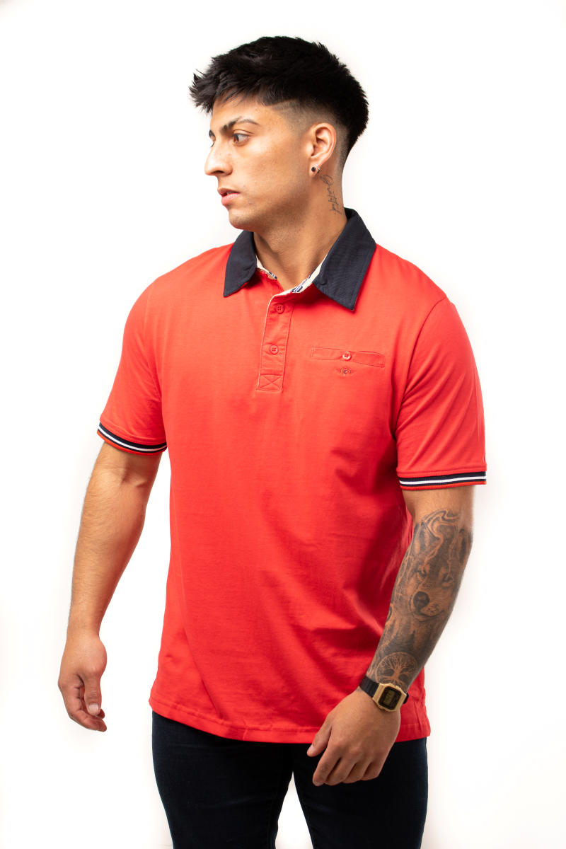 Polera Cuello Camisero 100% algodón P055