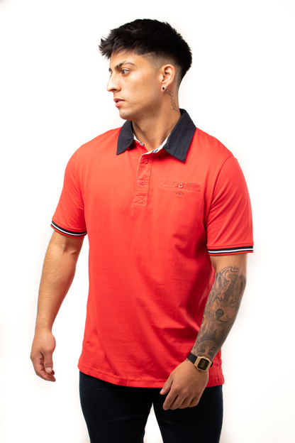 Polera Cuello Camisero 100% algodón P055